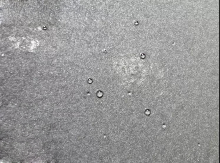 20200831133833.jpg 20200831133833.jpg