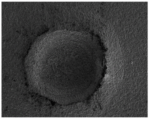 20211016151340903.jpg 20211016151340903.jpg