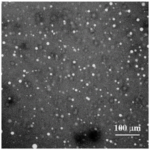 2021109162341566_副本.jpg 2021109162341566_副本.jpg