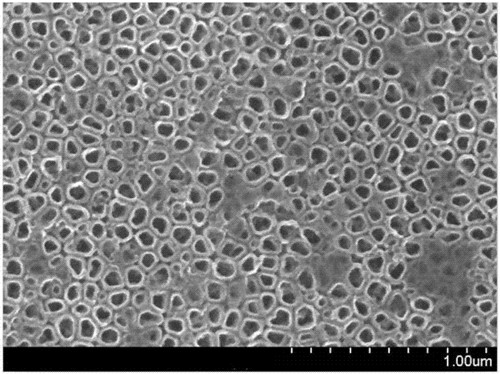 202192791839308.jpg 202192791839308.jpg