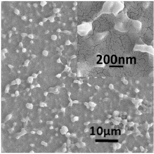 20219715277441.jpg 20219715277441.jpg